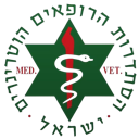 אייקון
